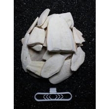 Calperia Temizlenmiş Kırık Kalamar Kemiği - 100 gr