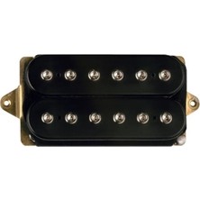 Calperia Al Di Meola Model Sap Manyetik