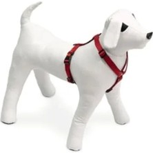 Calperia Kilitli Kırmızı Göğüs Tasması, 25-40 cm Arası Köpekler Için