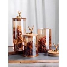 Calperia Kehribar Renk Cam Saklama Kavanozu, Altın Renk Bambu Kapak