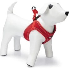 Calperia Neopren Köpek Göğüs Tasması, Kırmızı, Xs Boy, 30-35 cm Ayarlanabilir