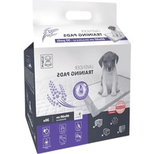 Calperia Lavantalı Köpek Eğitim Pedi - 60X60 Cm, 30 Adet