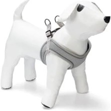 Calperia Neopren Köpek Göğüs Tasması, Yeşil, Xs Boy, 30-35 cm Ayarlanabilir