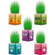 Calperia 3 Adet Emojili Küp Çim Adam Seti - Okul Öncesi Hediyelik