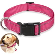 Calperia Reflektif Yumuşak Neopren Dolgulu Köpek Tasma - Ayarlanabilir, Rahat Kullanım (Pembe, L)