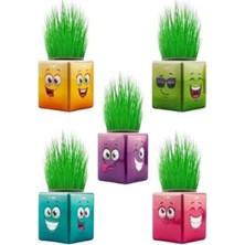 Calperia Renkli Küp Şeklinde Çim Adam Seti - 32'li
