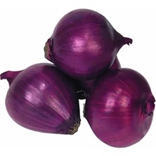 Calperia Doğal Mor Soğan Tohumu