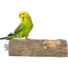 Calperia Doğal Ağaç Kuş Tüneği ve Yemlik 15 cm