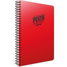Gıpta Punto A4 Spiralli Pp Kapak Defter 120 Yaprak Kareli (3 Lü Paket) 6539
