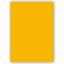Alex Schoeller Fon Kartonu Kolej Serisi 50X70 Cm 160 Gram (Gold) Altin Sarı Tekli (1 Adet)