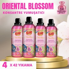 Sır 4 Adet Aromatique Konsantre Çamaşır Yumuşatıcısı Oriental Blossom 3x Parfüm Etkisi (750 ml x 4 Adet)