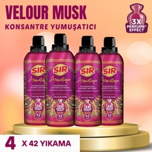 Sır Aromatique Konsantre Çamaşır Yumuşatıcısı Velour Musk 3x Parfüm Etkisi 750 ml x 4 Adet
