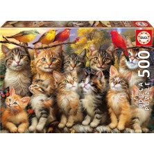 Educa Puzzle 500 Parça Yavru Kedi ve Kuş 20241