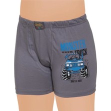 Gümüş 12'li Erkek Çocuk Boxer Karışık Renk DESEN-3110