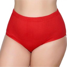 6'lı Kadın Bato Külot Geçme Lastik-Gümüş 3040-3041