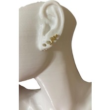 Gülnar Bijuteri Taşlı Yılan Tasarım Kıkırdak Tragus Helix Pearsing Küpe