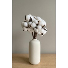 10LU Doğal Beyaz Pamuk Demeti Ev Dekor Süsü