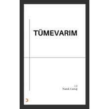 Cinius Yayınları Tümevarım