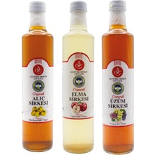 Raya Organik Organik Sirke Seti – Elma, Üzüm, Alıç 3’lü (3 x 500 Ml)