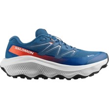 Salomon Ultra Flow 2 Gore-Tex