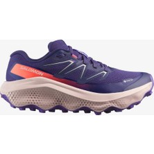 Salomon Ultra Flow 2 Gtx