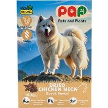 Pets And Plants Doğal Köpek Ödül Maması Pap Tavuk Boynu Sakat Et 100 G