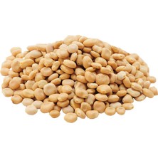 Trend Movira Acı Bakla Tohumu Yahudi Baklası Doğal 1000 gr Paket