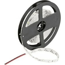 Cata 5 Metre Kendinden Yapışkanlı LED Şerit Bant 12V Beyaz Işık 6500K 60 Led/m IP20 Yüksek Dayanıklılık