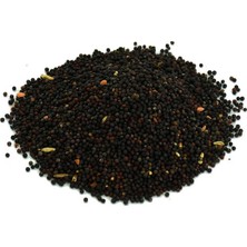 Trend Movira Hardal Tohumu Tane Doğal Siyah 100 gr Paket