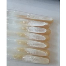 Tarımsal ve Hayvansal Ürünler 100 ml Sıvı Istiridye Mantarı Tohumu ve Eğitim Kılavuzu ve Ekim Poşetleri