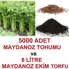 Tarımsal ve Hayvansal Ürünler 5000 Adet Geniş Yapraklı Köylü Maydanoz Tohumu ve 8 Litre Maydanoz Ekim Torfu