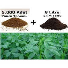 Tarımsal ve Hayvansal Ürünler Kutuda 5000 Adet Yonca Tohumu ve 8 Litre Ekim Torfu + Hediye Üzüm Fidanı Tohumları