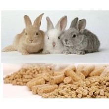 Tarımsal ve Hayvansal Ürünler 1000 gr Süper Kalite Tavşan Yemi + Hediye Üzüm Fidanı Tohumları