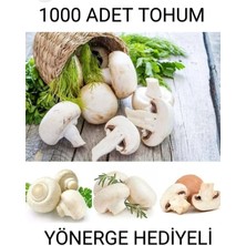Tarımsal ve Hayvansal Ürünler 1000 Adet Beyaz Şapkalı Mantar Tohumu ve Eğitim Kılavuzu ve Suprist Hediye