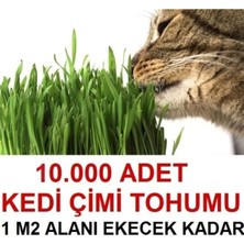 Tarımsal ve Hayvansal Ürünler Kedi Çimi Tohumu (Ortalama 10.000 Adet) + Hediye Üzüm Fidanı Tohumları