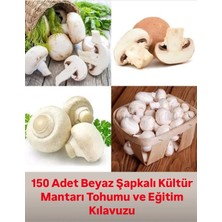 Tarımsal ve Hayvansal Ürünler 150 Adet Beyaz Şapkalı Kültür Mantarı Tohumu ve Eğitim Kılavuzu