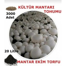 Tarımsal ve Hayvansal Ürünler 20 Litre Kültür Mantarı Ekim Torfu ve 3000 Adet Kültür Mantarı Tohumu + Hediye Üzüm Fidanı Tohumları