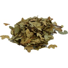 Trend Movira Şimşir Yaprağı Doğal 100 gr Paket