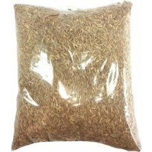 Tarımsal ve Hayvansal Ürünler Çim Tohumu (500 Gr)