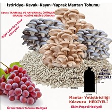 Tarımsal ve Hayvansal Ürünler Ekim Torbası ve Eğitim Kılavuzu Hediyeli 100 gr Kavak Mantarı Tohumu