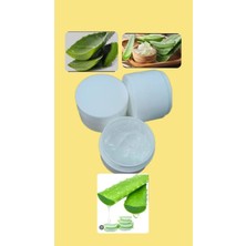 Tarımsal ve Hayvansal Ürünler Bitki Çeliği Kökleme Kremi Hormonu