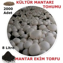 Tarımsal ve Hayvansal Ürünler 2000 Adet Kültür Mantarı Tohumu ve 8 Litre Kültür Mantarı Ekim Torfu