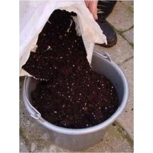 Tarımsal ve Hayvansal Ürünler 12 Litre Bitki Köklendirme Torfu + Hediye Üzüm Fidanı Tohumları
