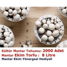 Tarımsal ve Hayvansal Ürünler 3000 Adet Kültür Mantar Tohumu + 13 Litre Mantar Ekim Torfu, Ekim Yönergesi + Üzüm Fidan Tohumları