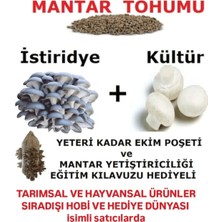 Tarımsal ve Hayvansal Ürünler 30.000 Adet Istiridye ve 30.000 Adet Beyaz Şapkalı Kültür Mantarı Tohumu