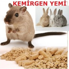 Tarımsal ve Hayvansal Ürünler 1 Kğ Kemirgen Yemi + Hediye Üzüm Fidanı Tohumları
