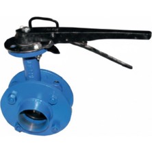 Tuna Tarım Takım Pasolu Demir Kelebek Vana 2"