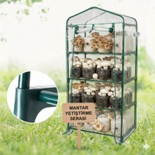 Tarımsal ve Hayvansal Ürünler Mantar Yetiştirme Serası + Hediye Üzüm Fidanı Tohumları