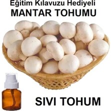 Tarımsal ve Hayvansal Ürünler 100 ml Kültür Mantarı Tohumu