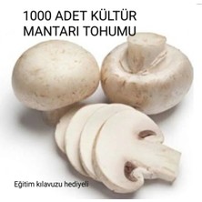 Tarımsal ve Hayvansal Ürünler 1000 Adet Kültür Mantarı Tohumu + Eğitim Kılavuzu + Hediye
